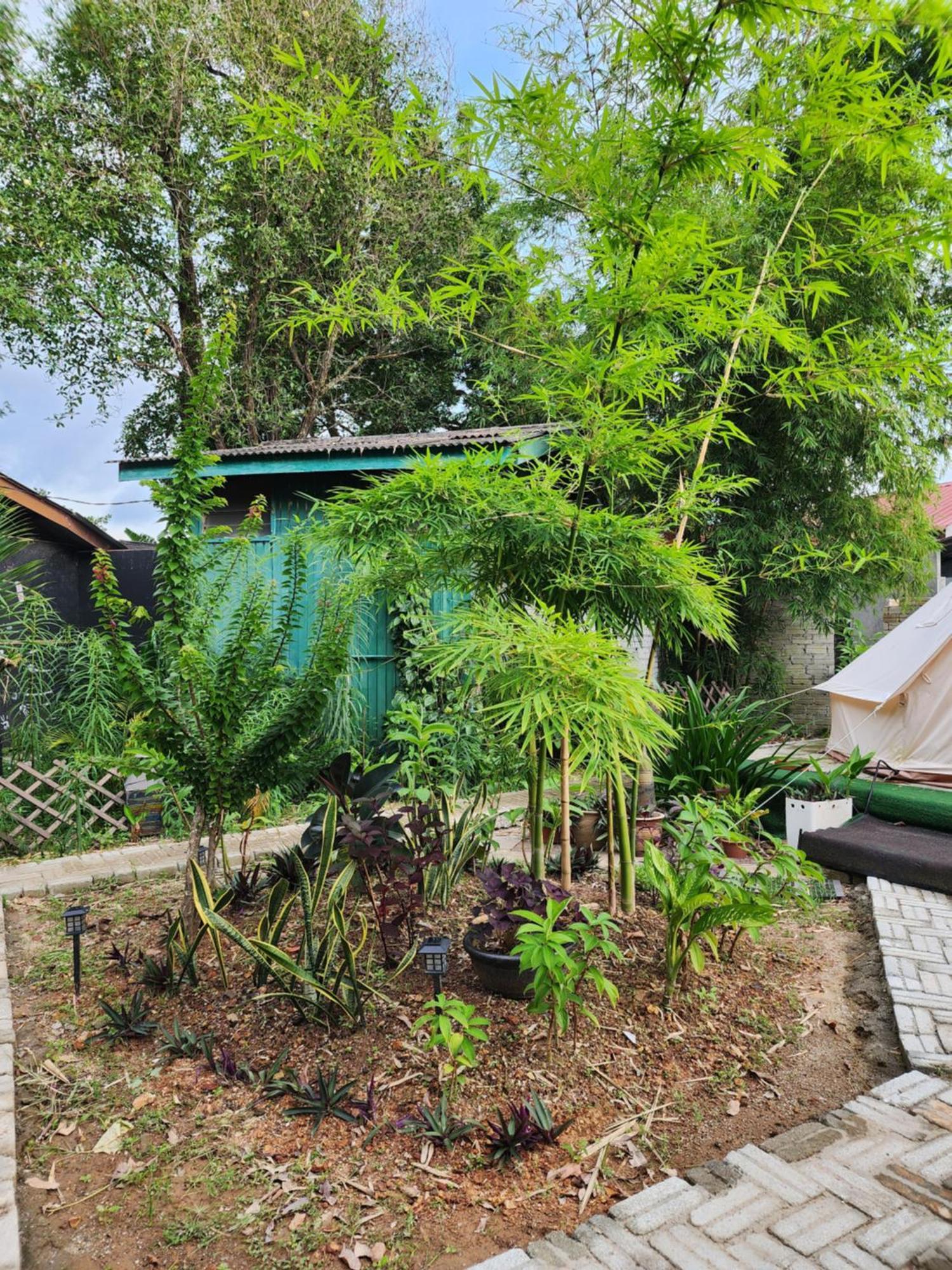 Blissfull Sweet Inn Pantai Cenang  Esterno foto