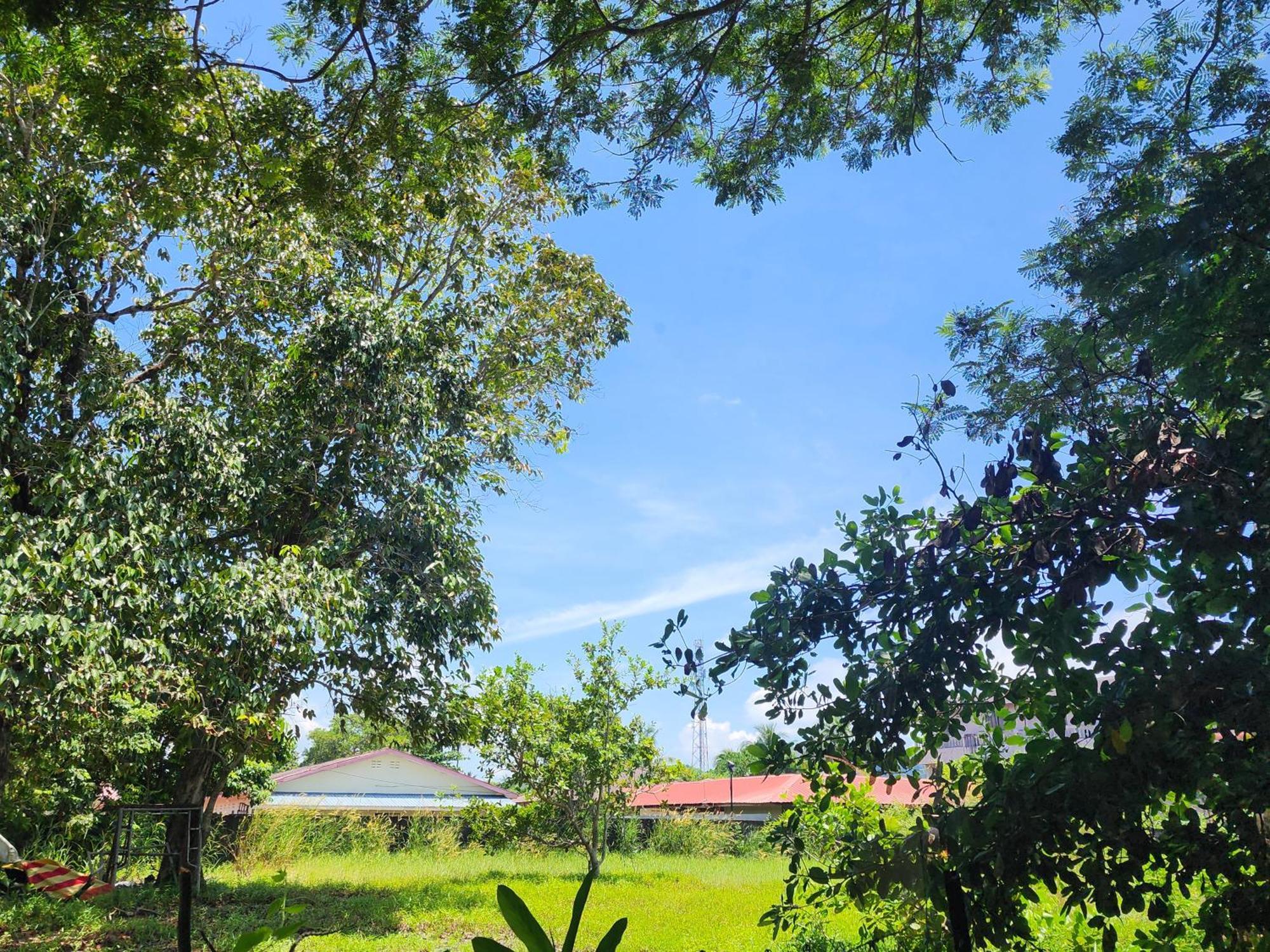 Blissfull Sweet Inn Pantai Cenang  Esterno foto