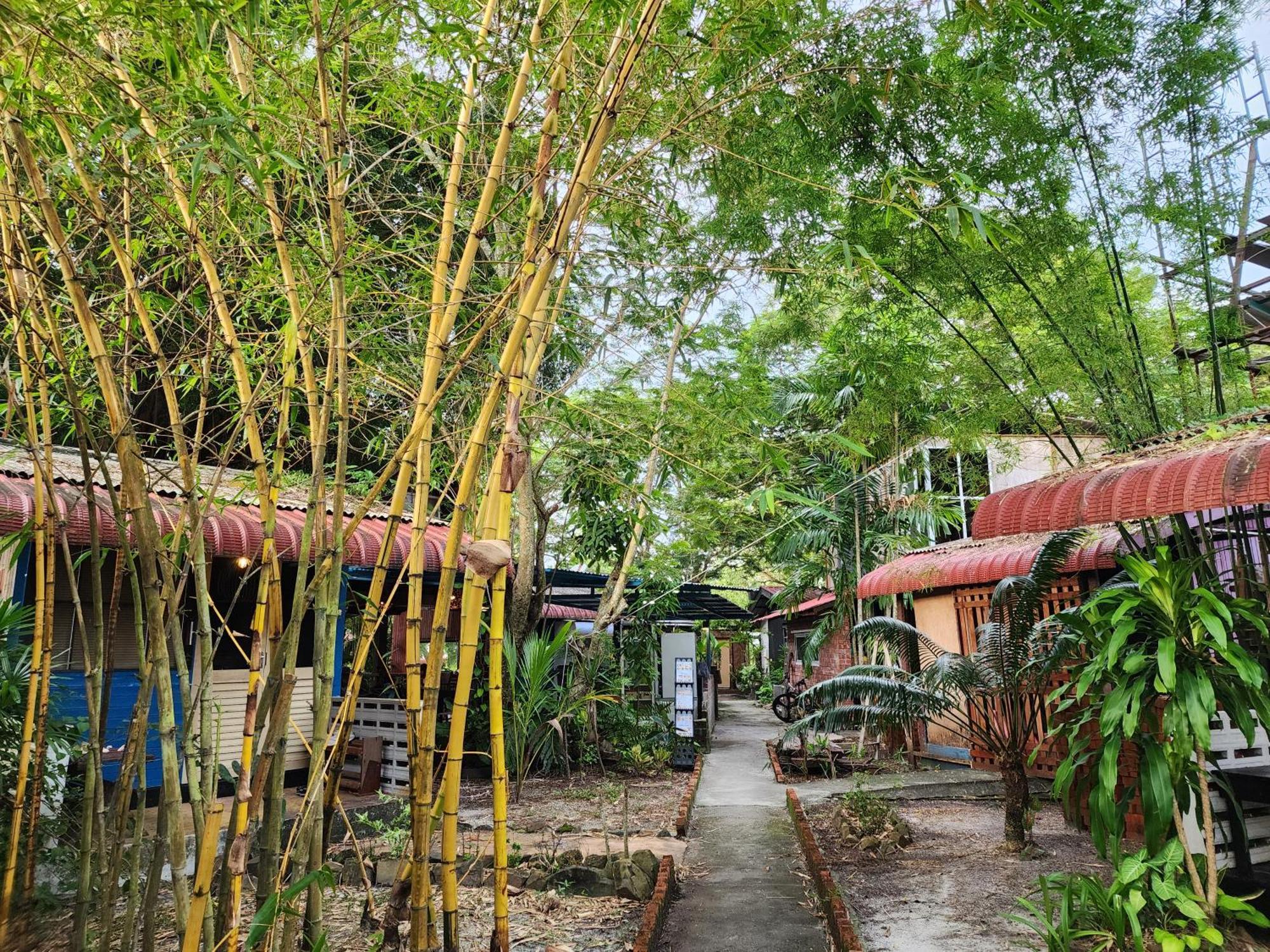 Blissfull Sweet Inn Pantai Cenang  Esterno foto